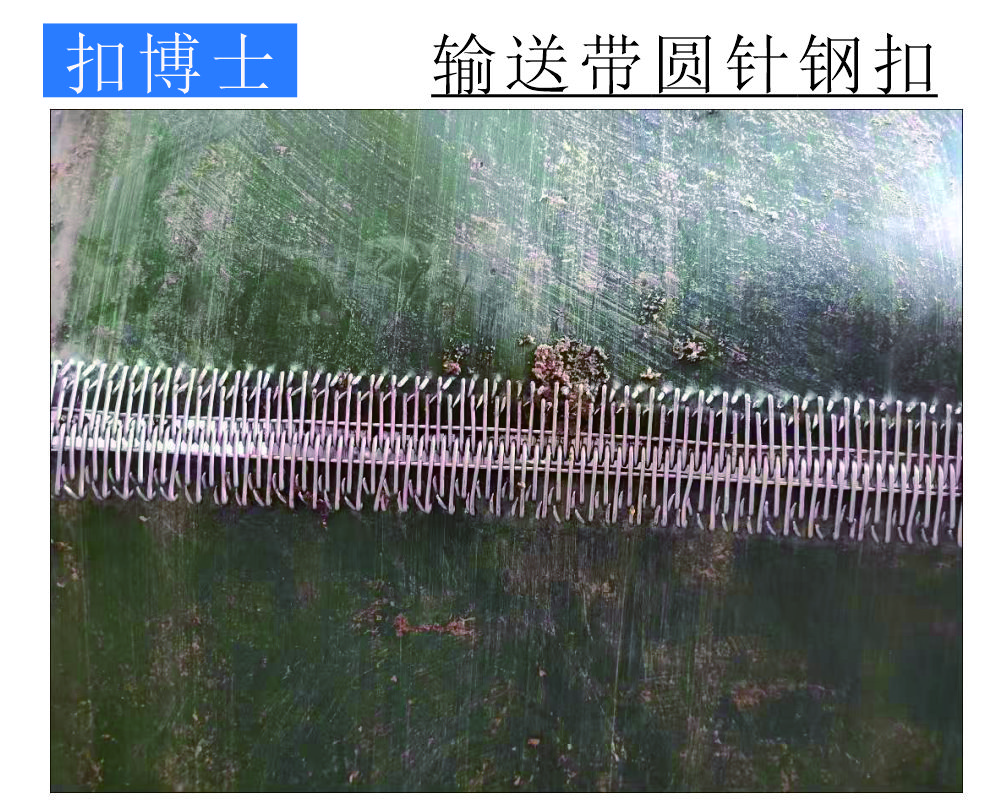 U3针式钢扣 PVK物流输送带钢扣接头